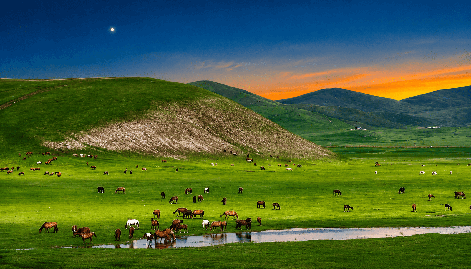Green rolling hills landscape